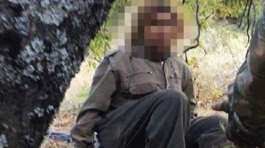 Teslim olan teröristten kan donduran itiraf