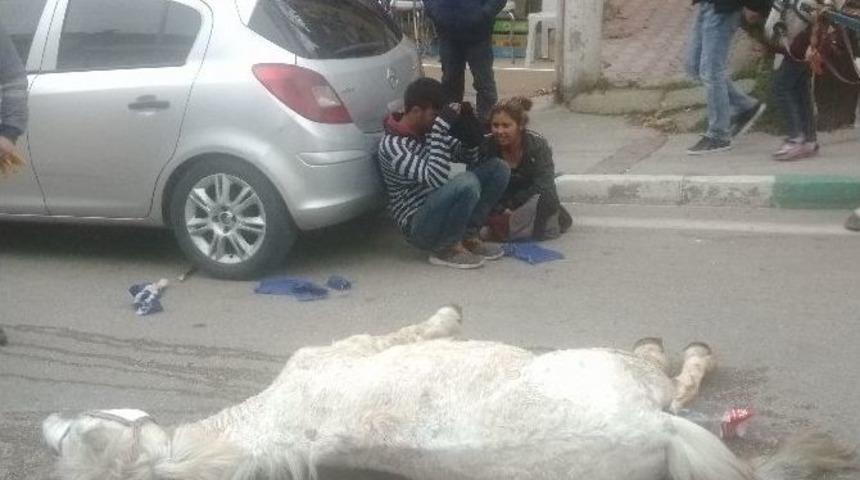 (&ouml;zel Haber) Hurdacı &Ouml;len Atının Başından Ayrılmadı
