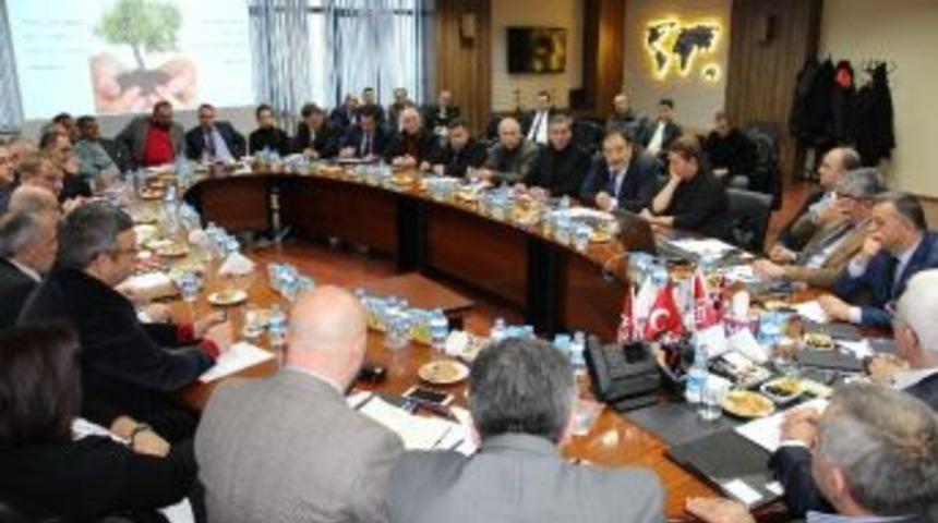 Zeytinciler G&uuml;&ccedil;lerini Birleştiriyor