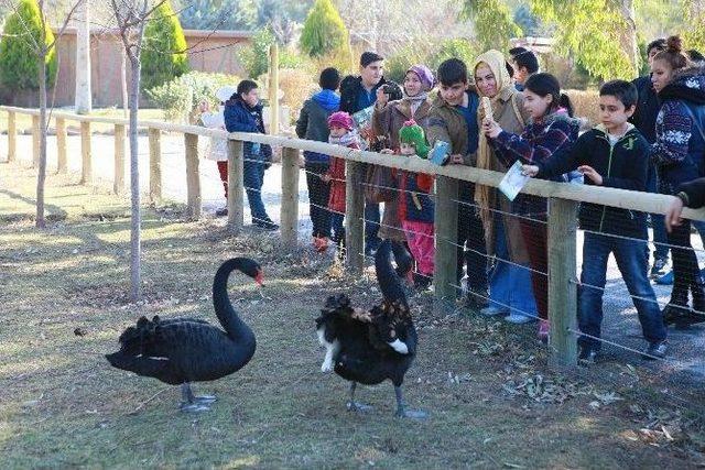 Yarıyıl Tatilinde Doyasıya Eğlendiler