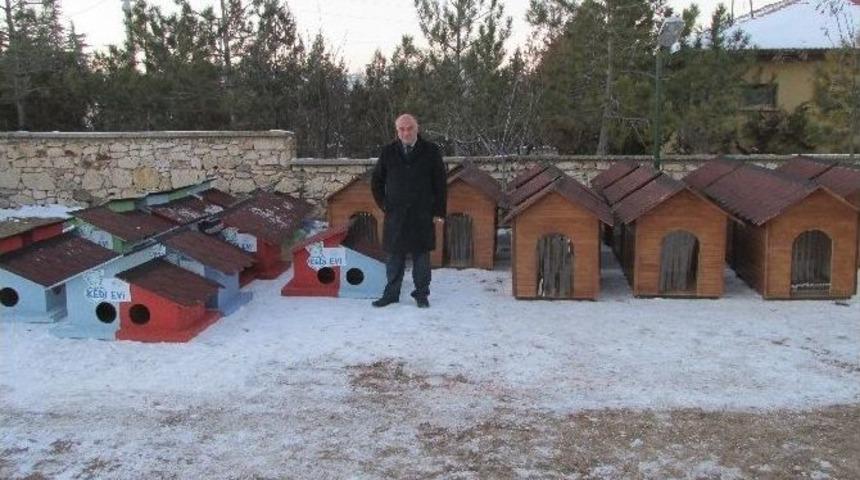 Han&rsquo;da Sokak Hayvanları İ&ccedil;in &Ouml;zel Barınaklar