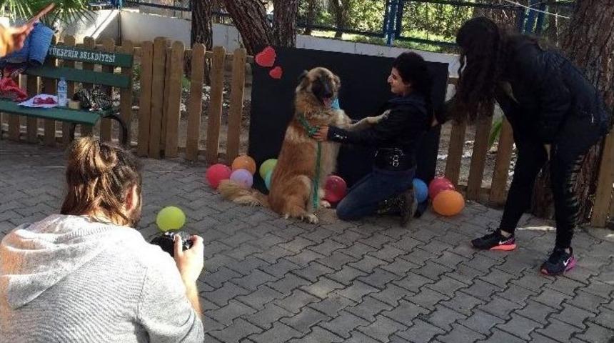 B&uuml;y&uuml;kşehir&rsquo;den &lsquo;engelsiz Sevgi Projesi&rsquo;