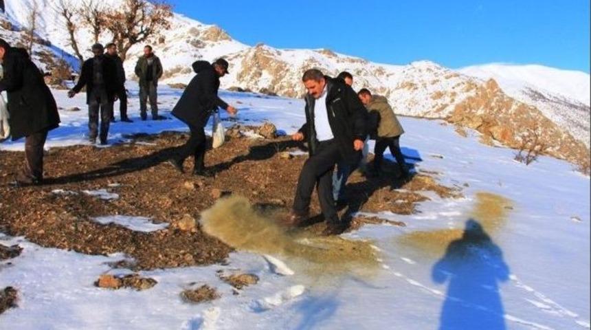 &Ccedil;atak&rsquo;ta Yaban Hayvanlarına Yem Bırakıldı