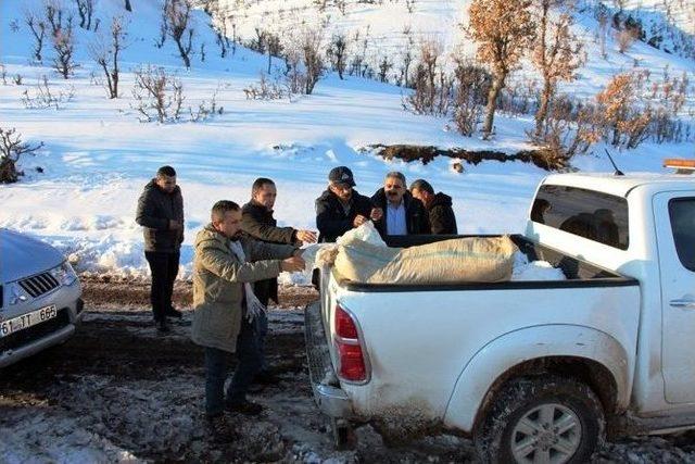 Çatak’ta Yaban Hayvanlarına Yem Bırakıldı