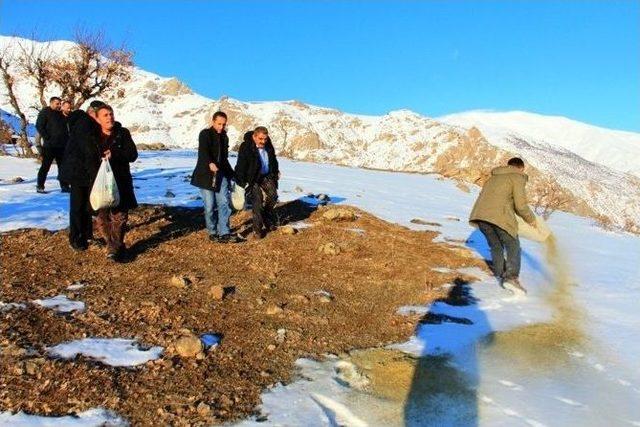 Çatak’ta Yaban Hayvanlarına Yem Bırakıldı