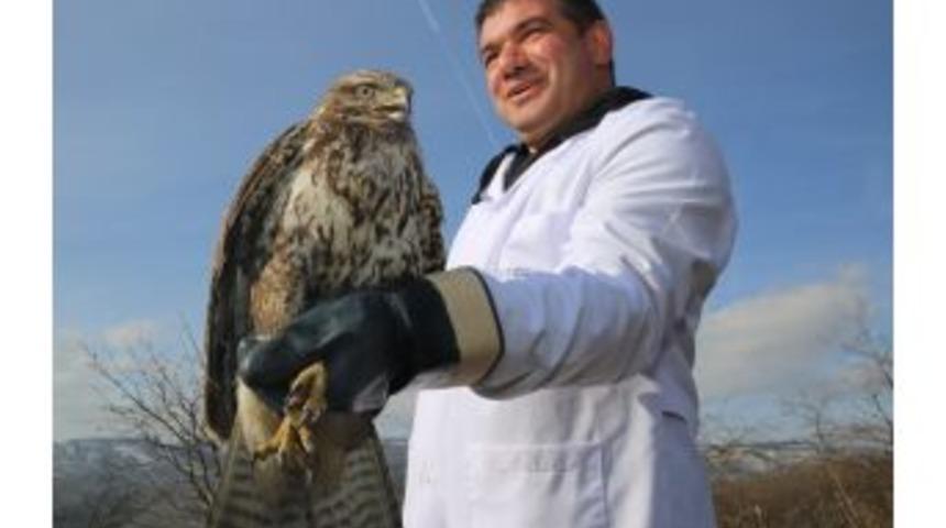 Ordu&rsquo;da 330 Yaralı Yaban Hayvanı Tedavi Edildi