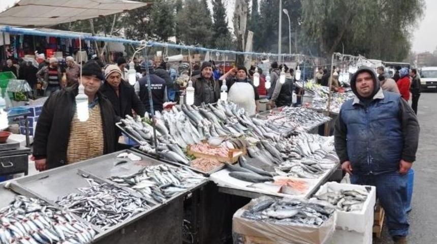 Soğuk Hava Balık Fiyatlarını U&ccedil;urdu