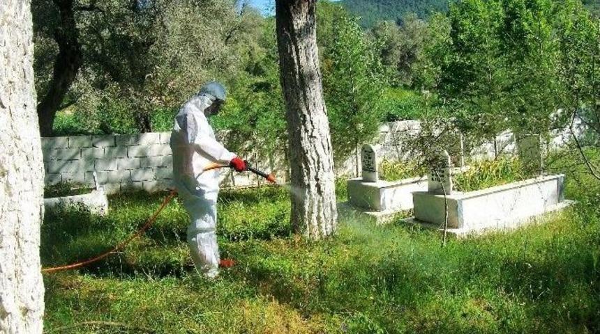 Mezarlıklarda Temizlik