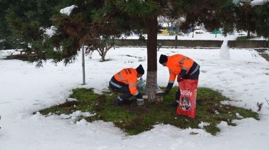 Trabzon&rsquo;da Sokak Hayvanları Ve Kuşların Beslenebilmesi İ&ccedil;in İstasyonlar Oluşturuldu