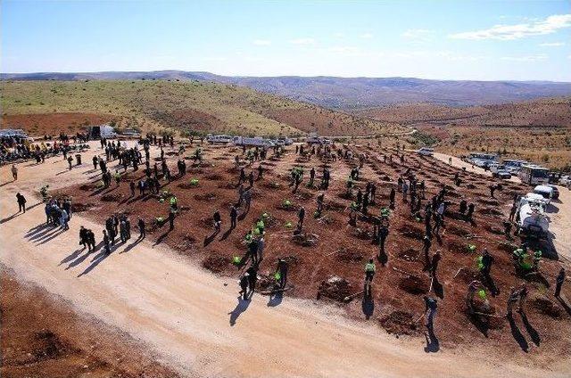 ‘bi Dünya Yeşil’ Şehitkamil İle Büyüyor