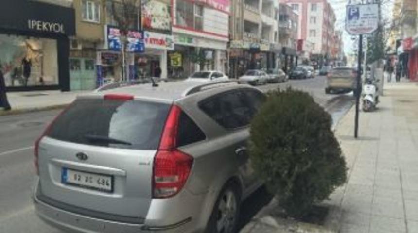 Engelli Vatandaşlar Park &Uuml;cretine Tepki G&ouml;steriyor