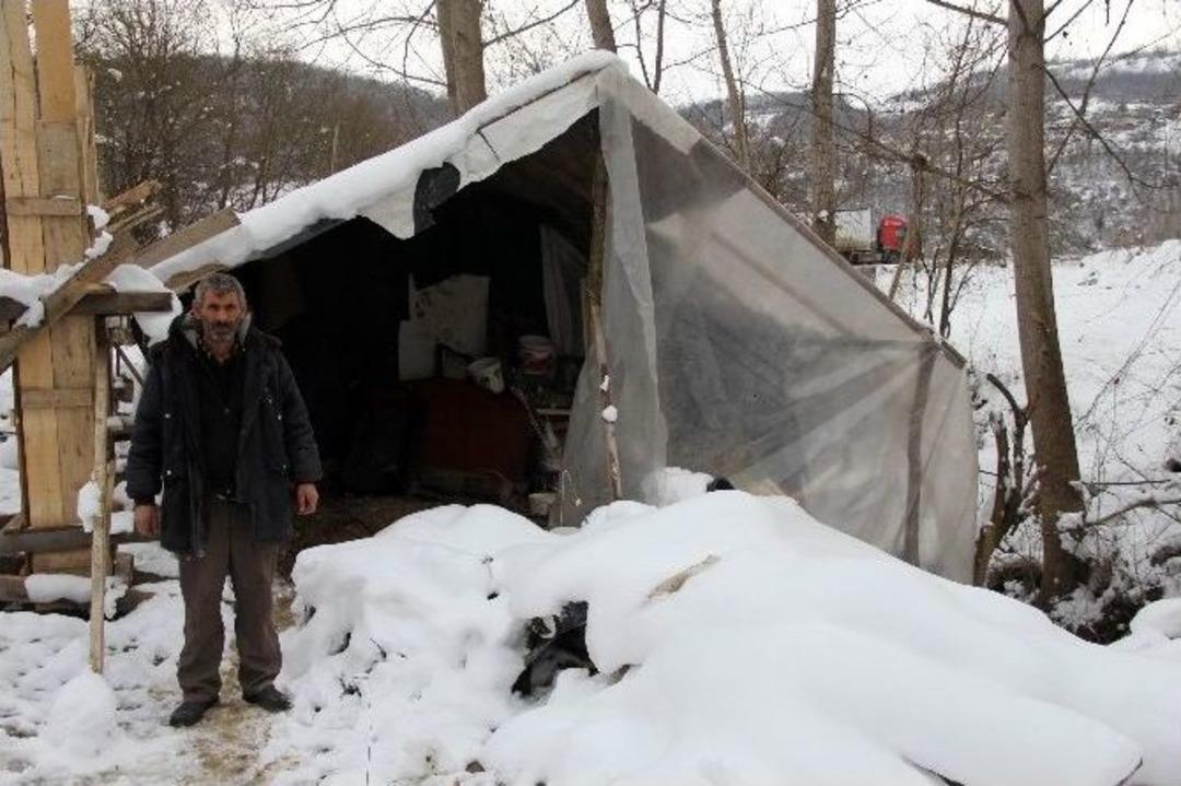 Kış G&uuml;n&uuml; Naylonla Kaplı Barakada Yaşıyor