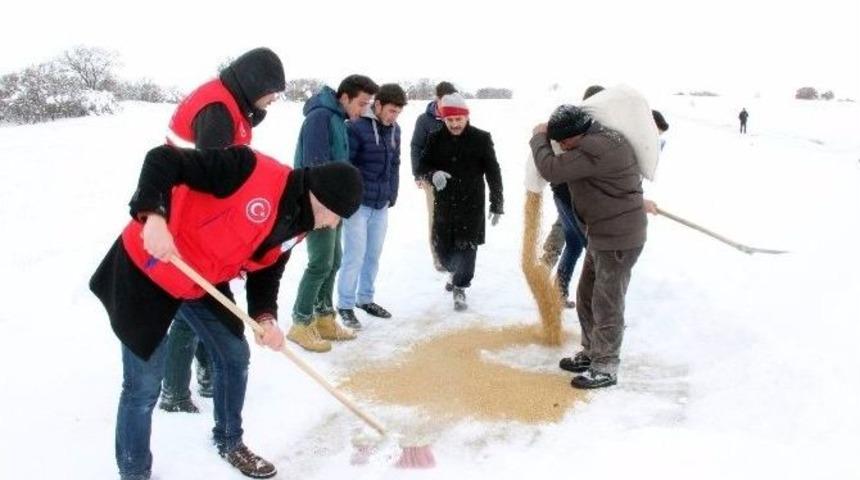 Yozgat&rsquo;ta Gen&ccedil;ler Yaban Hayvanları İ&ccedil;in Doğaya Yem Bıraktı