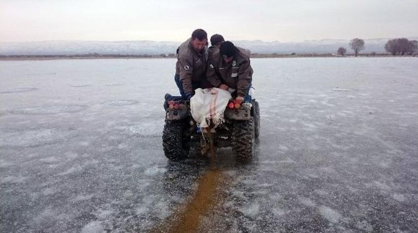 (&ouml;zel Haber) Sultan Sazlığı Buz Tuttu