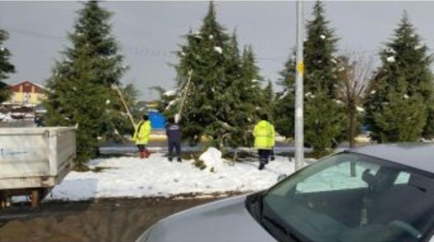 Kartepe&rsquo;de Ağa&ccedil;lar Kardan Korunuyor