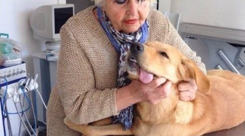 Sel&ccedil;uk&rsquo;ta K&ouml;pekler Kısırlaştırılıyor