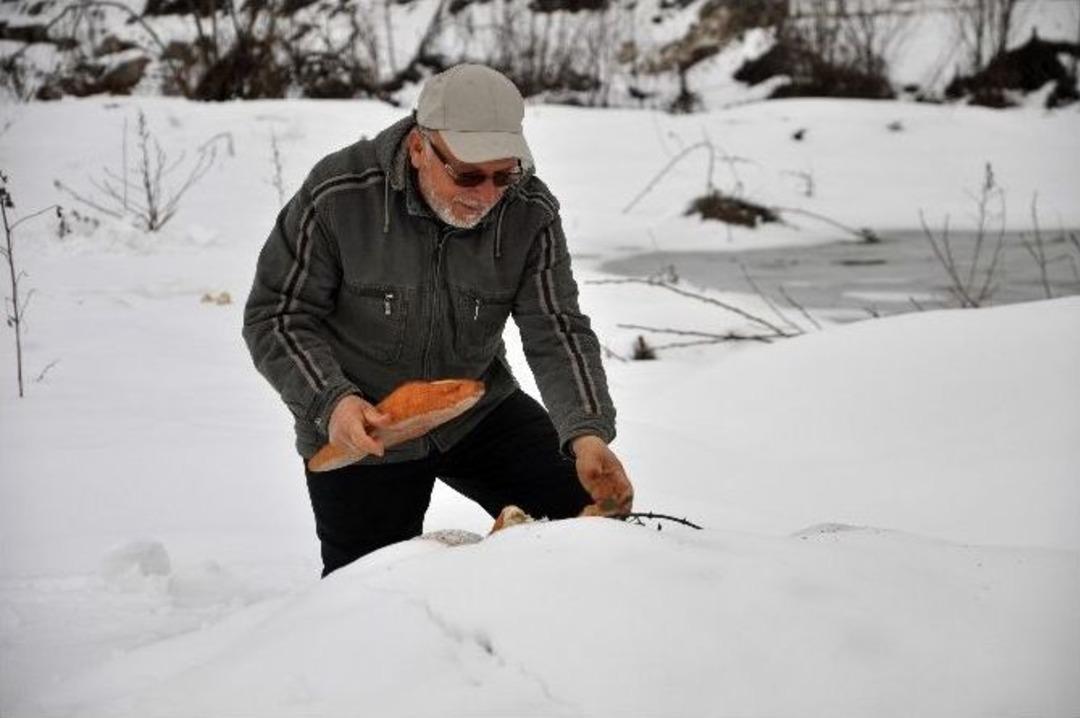 Avcılar Bu Sefer Avlamak İ&ccedil;in Değil, Yemlemek İ&ccedil;in Dağlarda