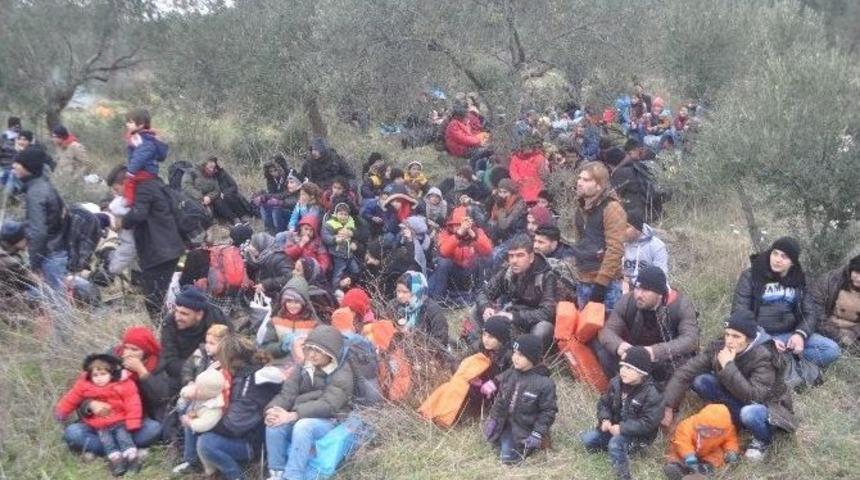 &Ccedil;anakkale&rsquo;de 572 M&uuml;lteci Yakalandı