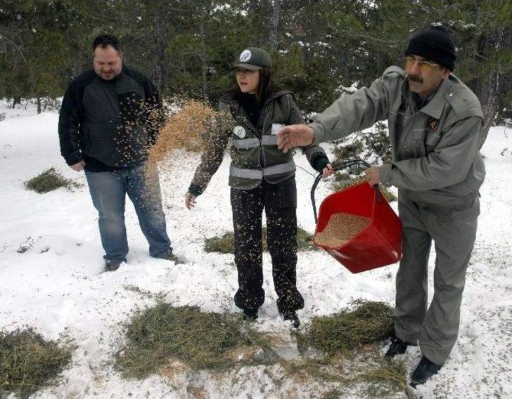 (özel) El Birliğiyle Yaban Hayata Katkı G2