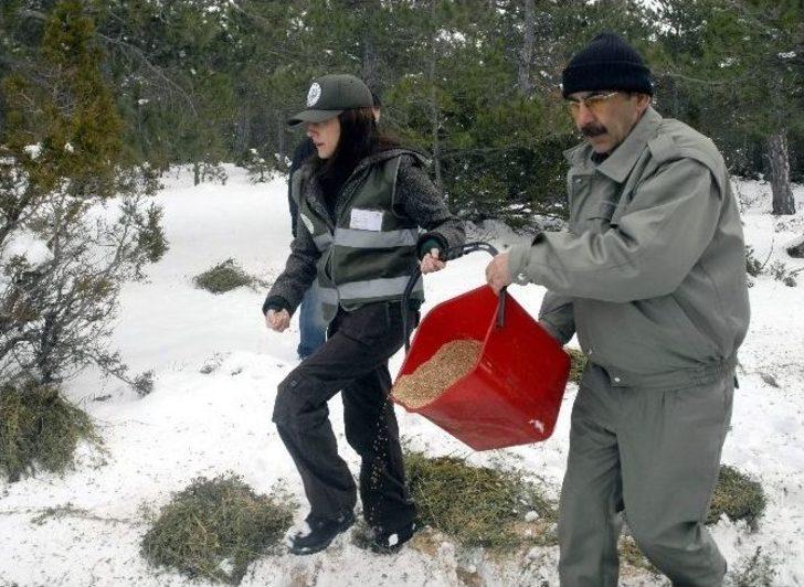 (özel) El Birliğiyle Yaban Hayata Katkı G3