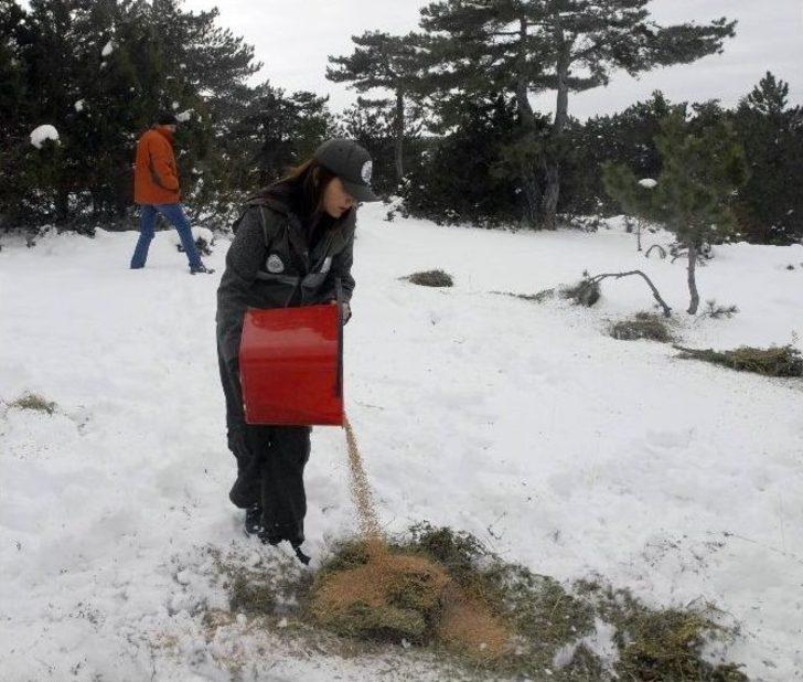 (özel) El Birliğiyle Yaban Hayata Katkı G4