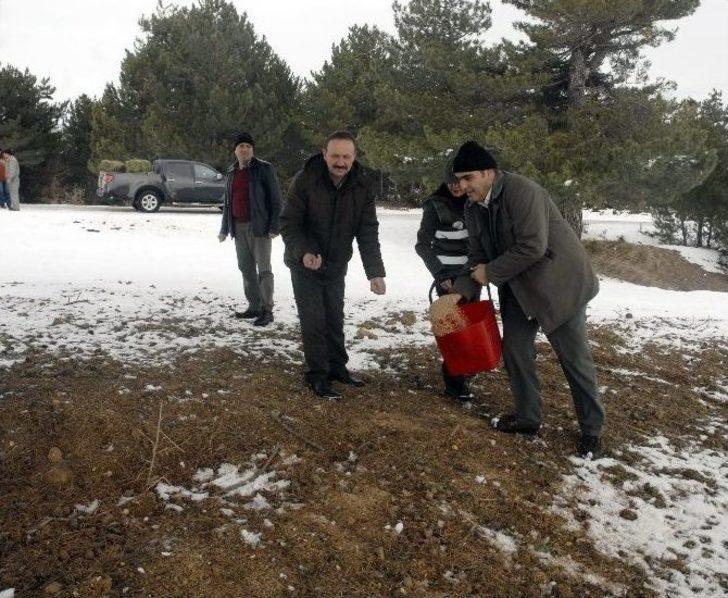 (özel) El Birliğiyle Yaban Hayata Katkı G5