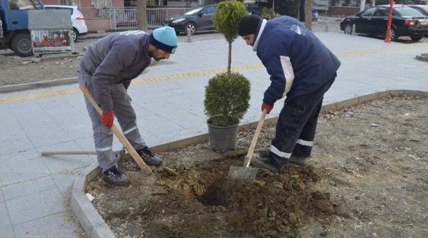 Gardalya Cumhuriyet Mahallesinin G&ouml;zdesi Oldu