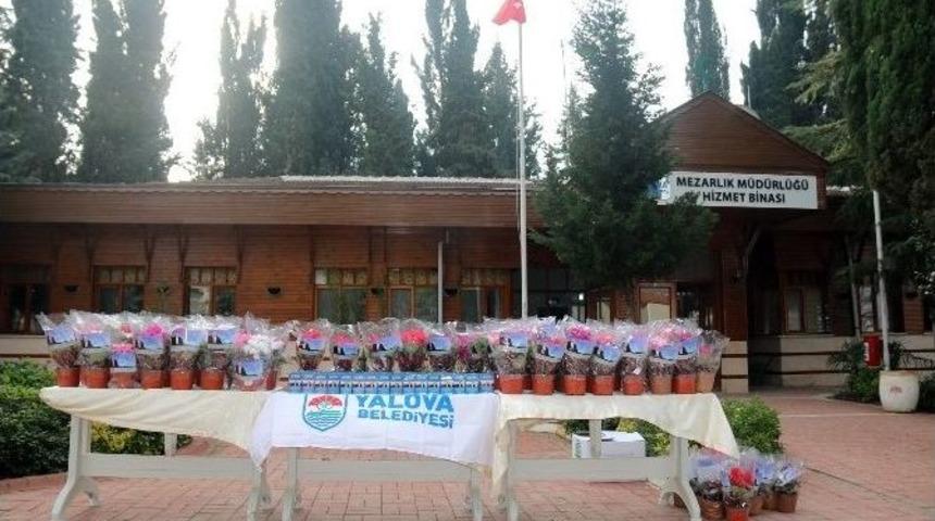 Yalova Belediyesi&rsquo;nden &Ouml;rnek Uygulama