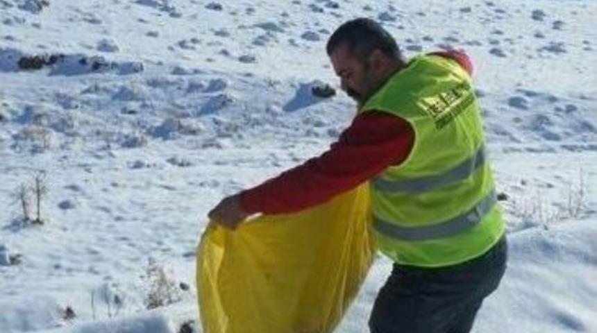 Ereğli Belediyesi Yaban Hayvanları İ&ccedil;in Yem Bıraktı