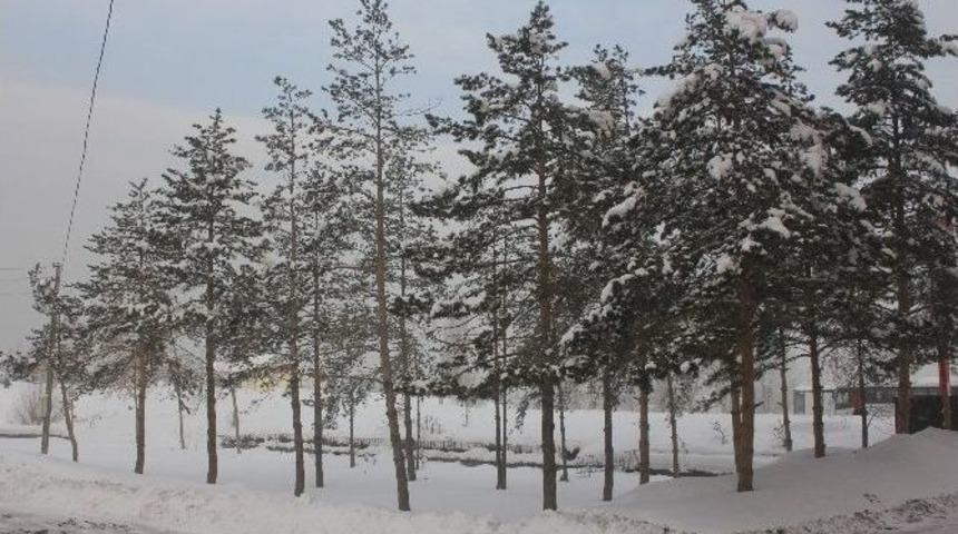 Ağrı&rsquo;da Dondurucu Soğuklar