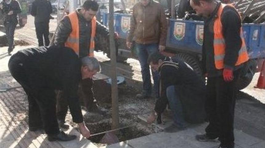 Emniyet Caddesi B&uuml;y&uuml;kşehir İle Daha Yeşil