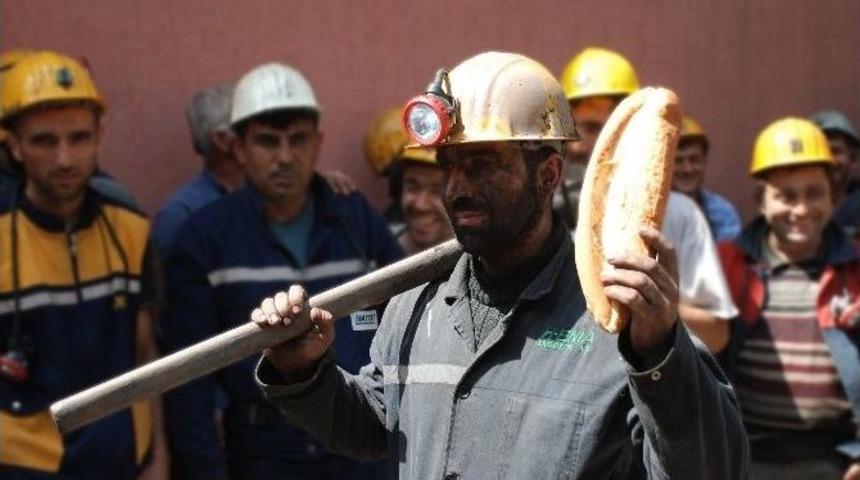 Kandilli&rsquo;de 33 Milyon Ton K&ouml;m&uuml;r Rezervi &Uuml;retilmeyi Bekliyor