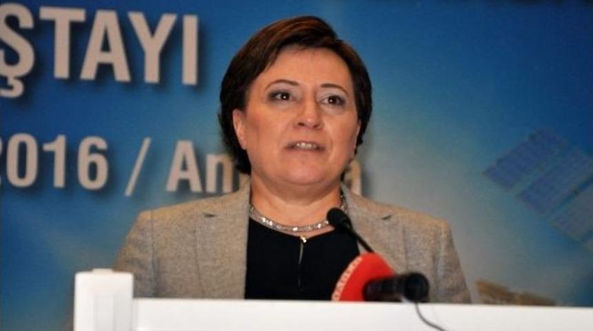 Bakan Sarı, Kağıt Toplayıcılar Konusuna Son Noktayı Koydu