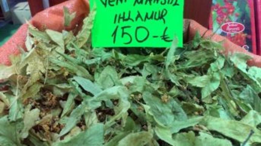 Ihlamur Fiyatı El Yakıyor