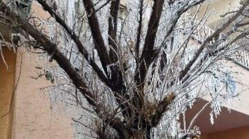 Ak&ccedil;akale&rsquo;de Gece Buz Kesti