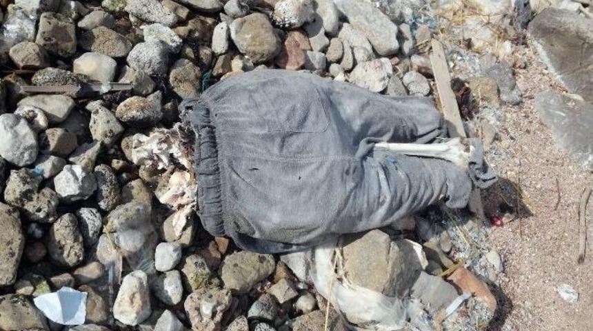 Marmaris Sahilinde Tanınmayacak Halde Erkek Cesedi Bulundu