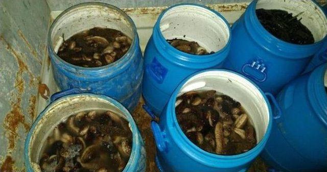 &Ccedil;anakkale&rsquo;de Su &Uuml;r&uuml;nleri Denetimi 1