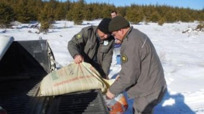 Yaban Hayvanları İ&ccedil;in Yem Bırakıldı