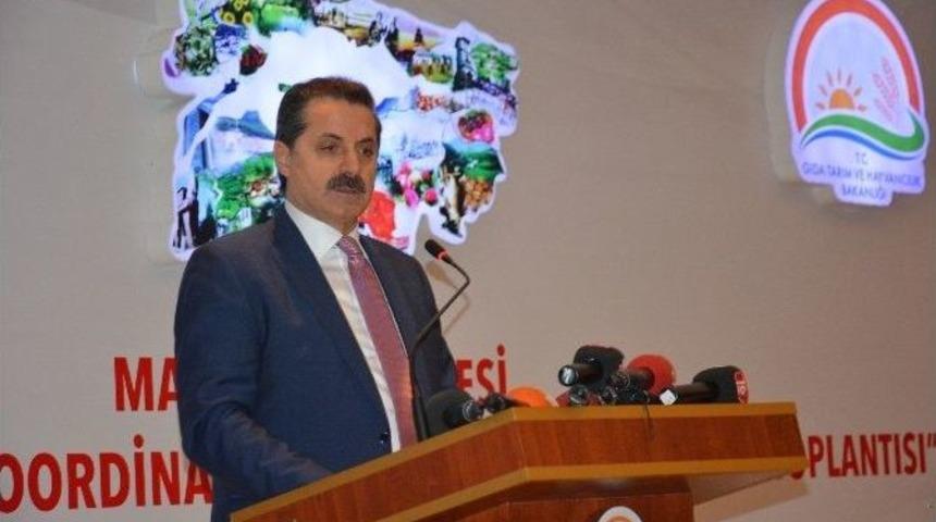 Bakan &Ccedil;elik&rsquo;ten Zam Tepkisi