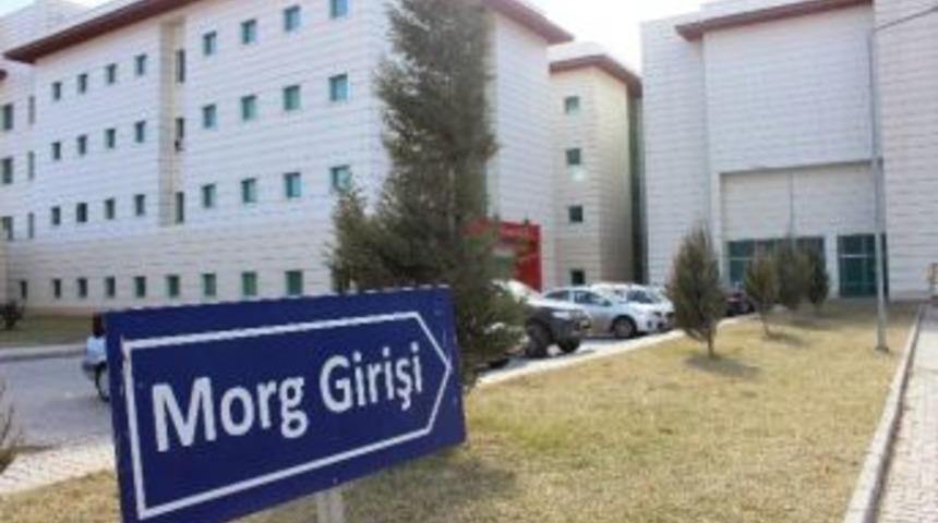 Mahkum Domuz Gribinden &Ouml;ld&uuml;