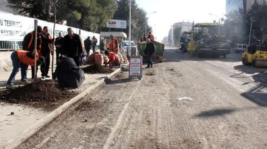 Şanlıurfa B&uuml;y&uuml;kşehir Belediyesi Kestiği Ağa&ccedil;ların Yerine Yenilerini Dikti