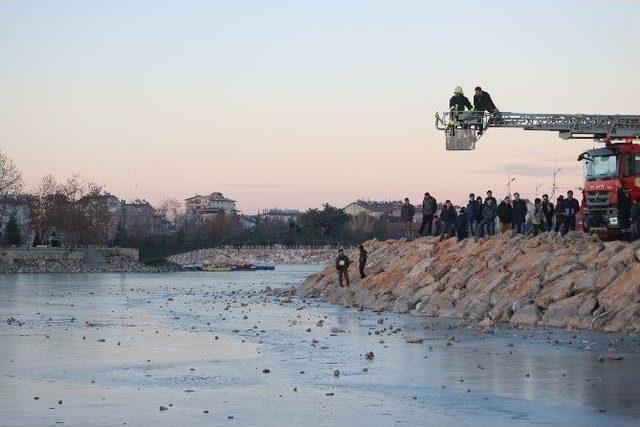 Buz Tutan Gölde Martı Kurtarma Operasyonu