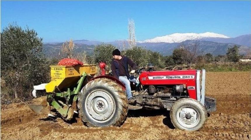 Patateste &Uuml;reticinin Umudu Bahara Kaldı