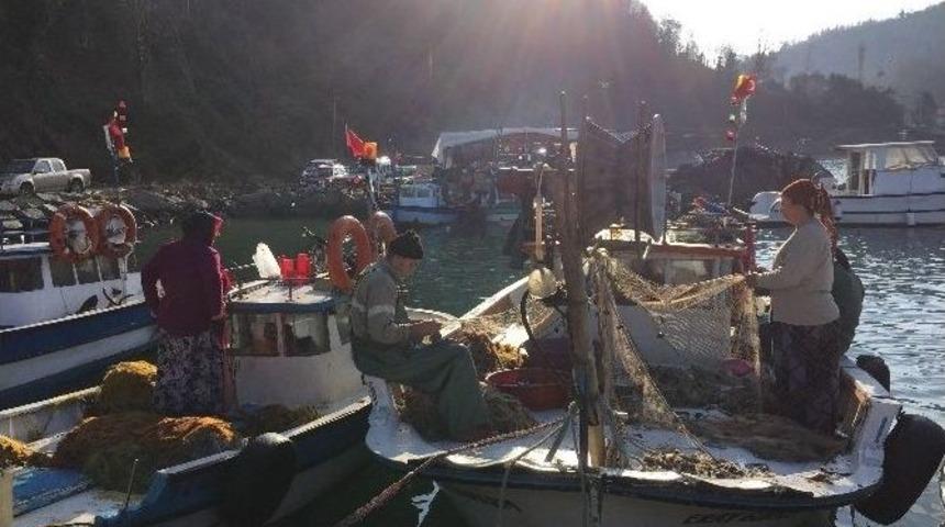 Karadeniz&rsquo;de 14 Yeni Balık T&uuml;r&uuml;