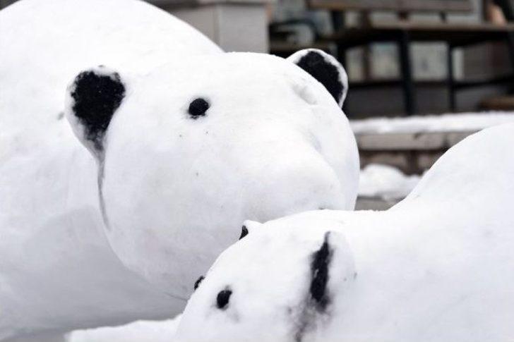 Kardan Adam Değil, Kardan Kutup Ayısı Yaptı G4