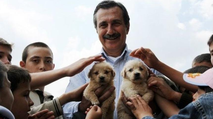 Tepebaşı&rsquo;nda Sokak Hayvanı Sahiplendirmede Rekor Rakamlar