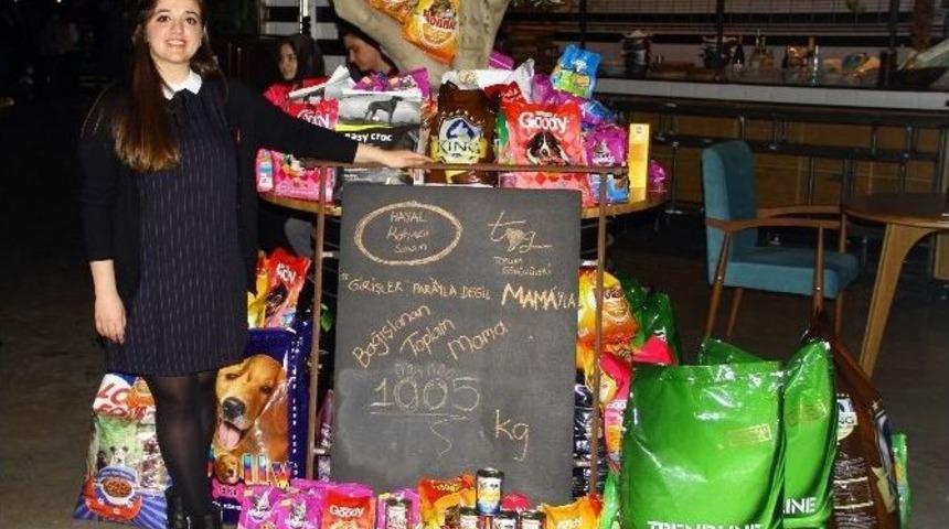 Bu Konsere Giriş Parayla Değil, Mamayla