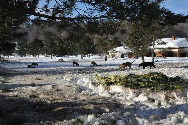 İnegöl Belediyesi Onları Unutmadı