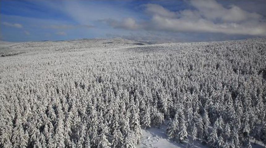 K&ouml;roğlu Dağları B&uuml;y&uuml;ledi