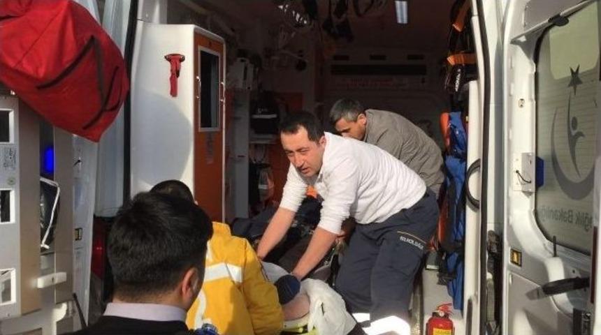 Ayının Saldırısına Uğrayan Şahıs Ağır Yaralandı